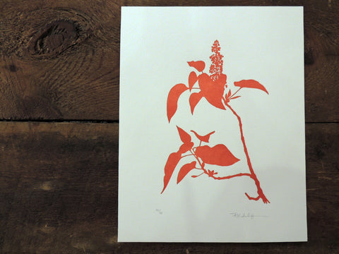 Tammy Ratcliff Letterpress Print - Graven Feather